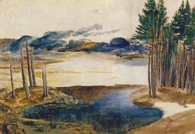 Estanque en el bosque, c.1496 de Albrecht Dürer